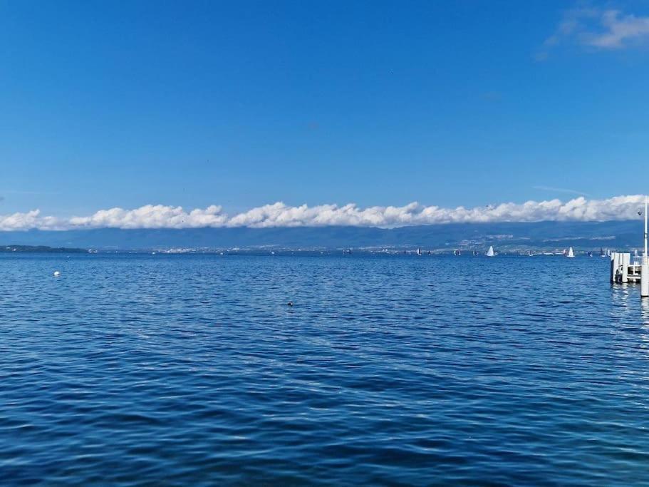 Apartmán Les Mouettes Thonon-les-Bains Exteriér fotografie